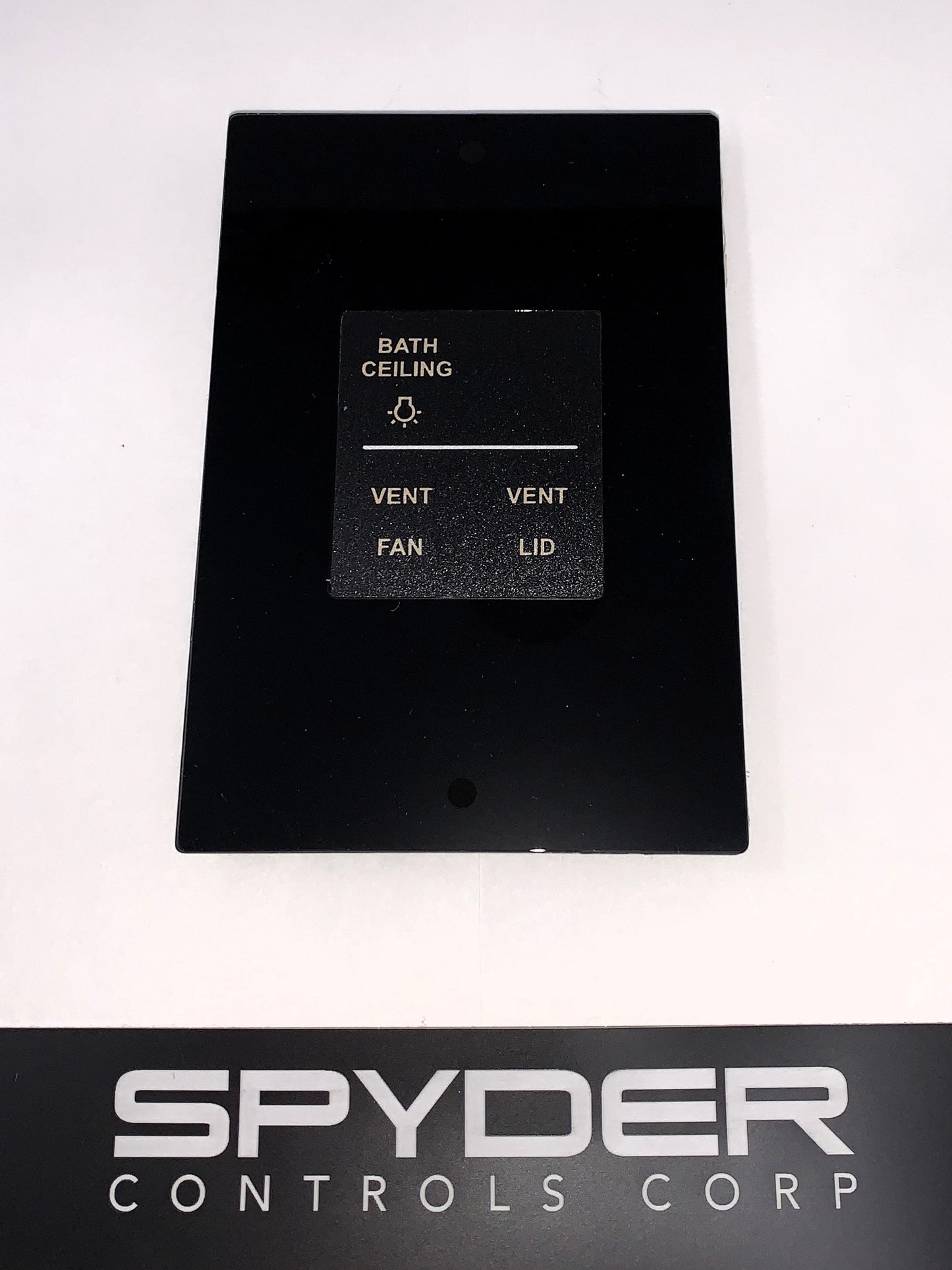 1001362 BSSPZZGG2-C2 Sw Panel Assy, SSP17 (RF-12V), Vanleigh - 2017, MID BATH w/FAN