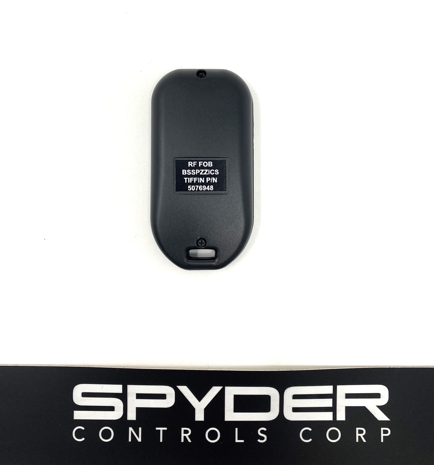 5076948 BSSPZZICS - Keyless Entry Key Fob