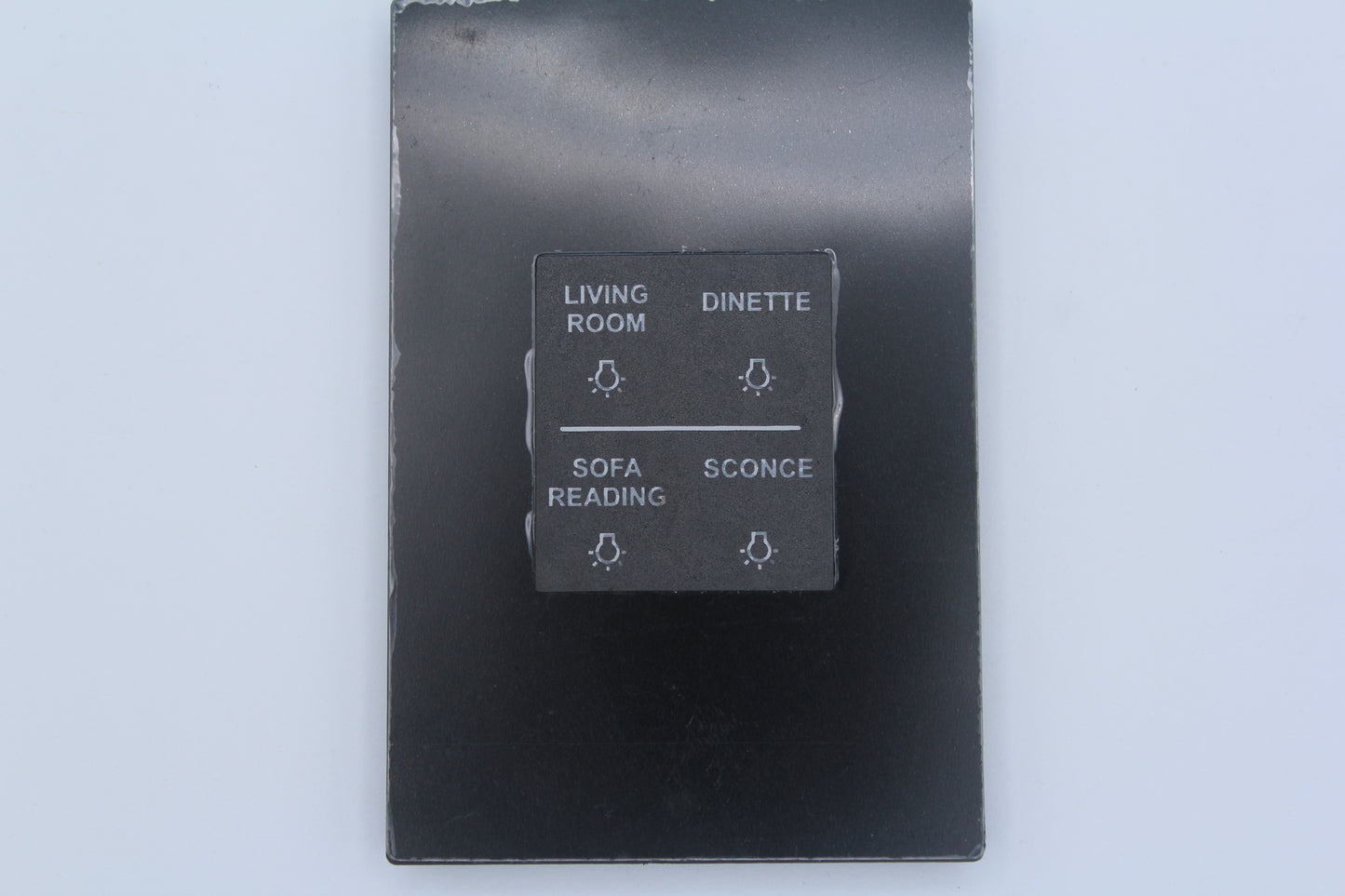 1001322 BSSPZZGG2-E Sw Panel Assy, SSP17 (RF-12V), Vanleigh - 2017, LIV RM